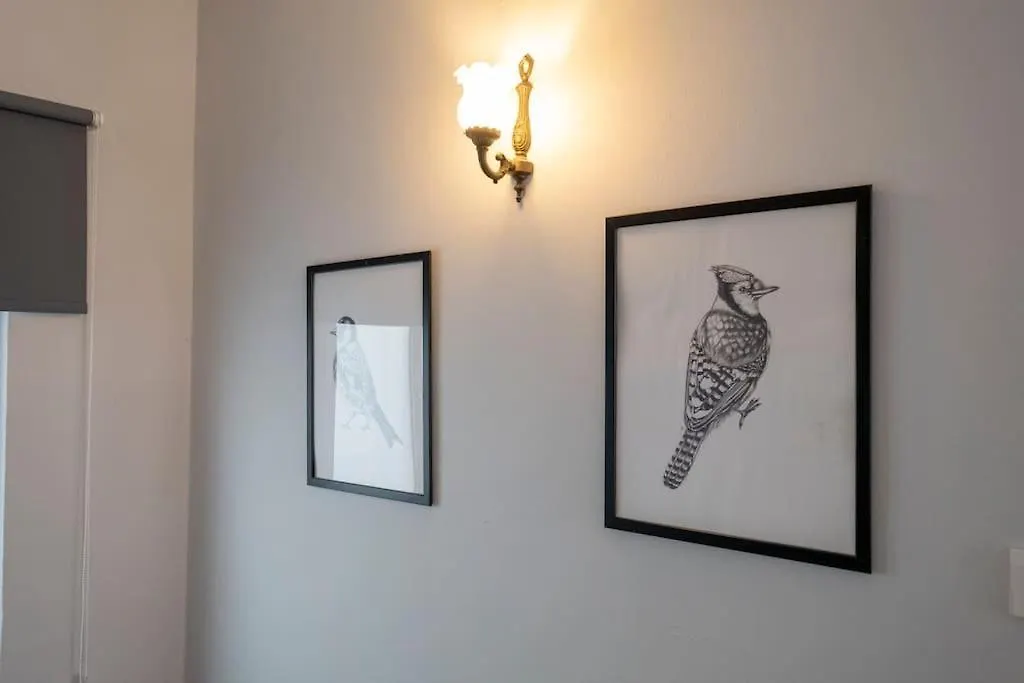 Spacious Dublex In Cihangir اسطنبول 0*,  تركيا
